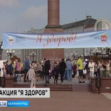В Калининграде свыше 2 тыс. человек получили консультации врачей на акции «Я здоров!»