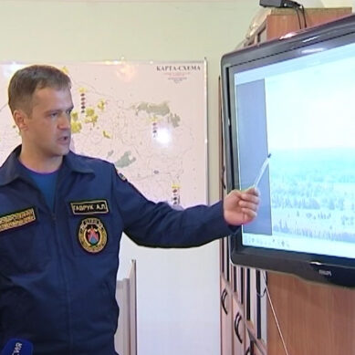 В Калининградской области усилено патрулирование лесов из-за риска природных пожаров