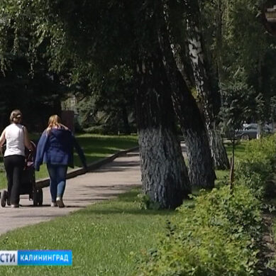Гурьевск вошёл в число самых чистых городов России