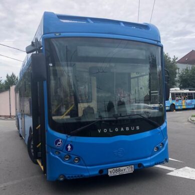 В Калининград завезут несколько электробусов
