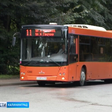 В Калининграде изменится часть маршрутов общественного транспорта