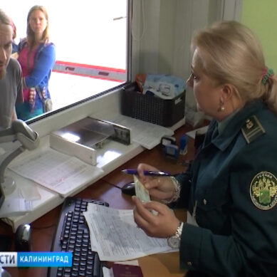 В Калининградской области выдали в 4 раза больше электронных виз, чем ожидали власти