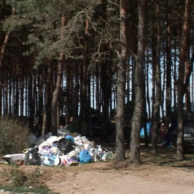 В прибрежных городах Калининградской области станут чаще вывозить мусор