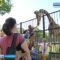 Калининградский зоопарк вошёл в Европейскую Ассоциацию Зоопарков и Аквариумов