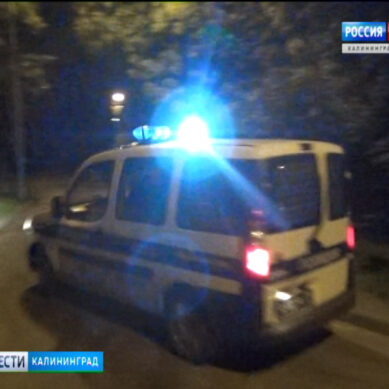 В Калининграде прошёл большой полицейский рейд