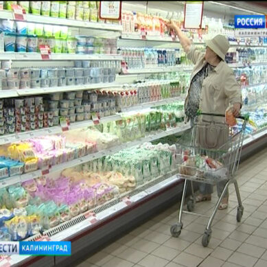 В Калининграде более половины торговых точек не соблюдают правила выкладки молочных продуктов