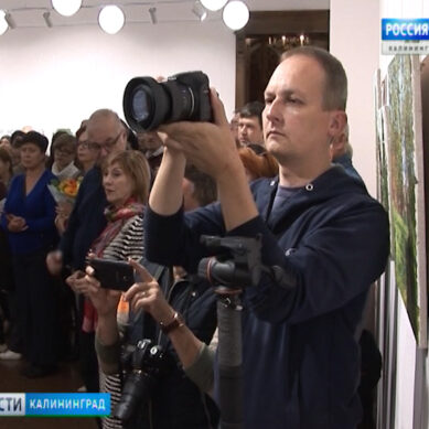 В Гусеве открылась выставка «Взгляд из центра России»