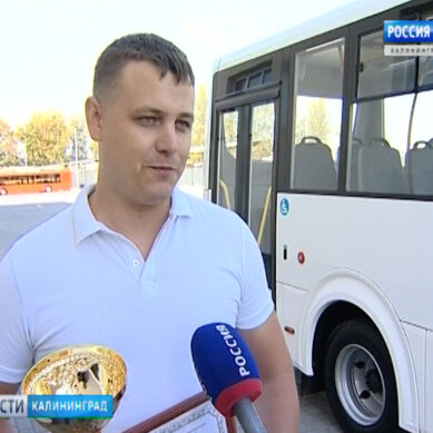 В Калининградской области выбрали лучшего водителя автобуса