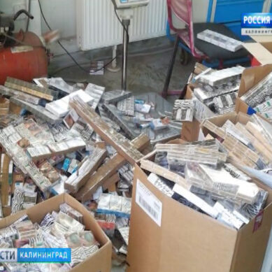 Калининградские таможенники перекрыли канал контрабанды табачных изделий