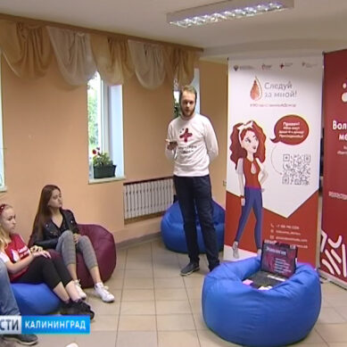 В Калининграде начинается Всероссийский марафон по подготовке доноров