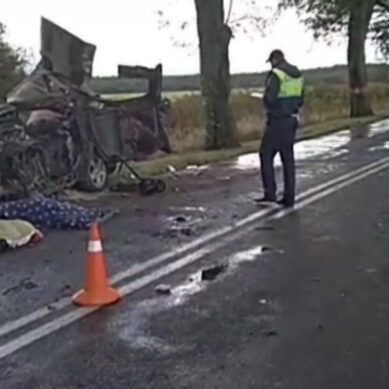 Под Янтарным Dodge врезался в дерево: погибли водитель и пассажир