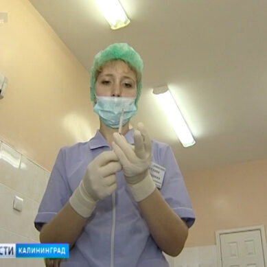 С начала вакцинации от гриппа привито 7% жителей Калининградской области