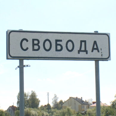 Жители посёлка Свобода собрали деньги на ремонт дороги к кладбищу