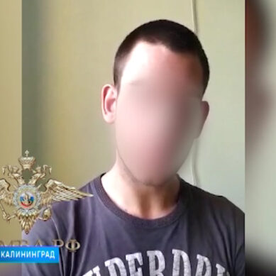 В Калининграде задержали подозреваемого в убийстве мужчины на улице Павлика Морозова