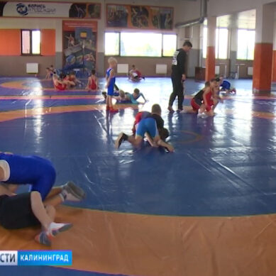 Победы Мусы Евлоева воодушевили молодёжь Калининграда заняться спортивной борьбой