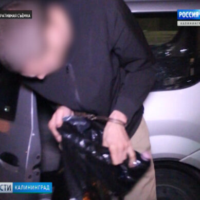 В Калининграде полицейские задержали квартирных воров