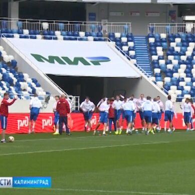 Сборная России по футболу провела предматчевую тренировку в Калининграде