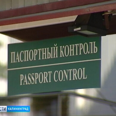 С начала 2019 года пункты пропуска Калининградской области пересекли почти 4 млн человек