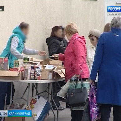 В Калининграде у нелегальных уличных торговцев станут изымать товар