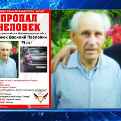 В Калининградской области ведутся поиски пенсионера-грибника