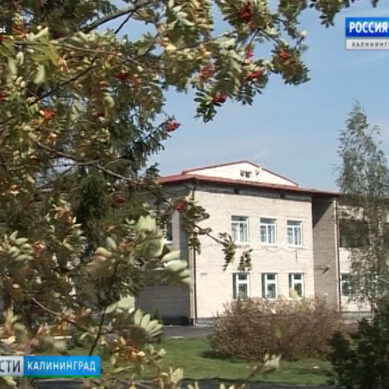 В сельских школах Калининградской области заработали «Точки роста»