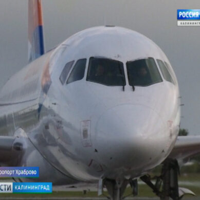 Власти Калининградской области планируют субсидировать региональные авиаперевозки