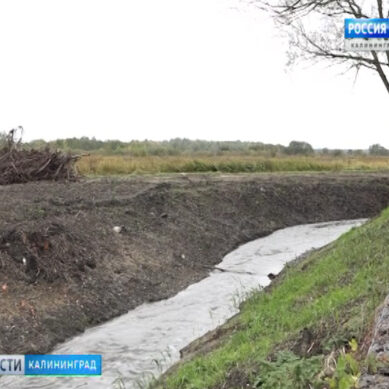 Реку Лесную, ручей Гагаринский и Ялтинский пруд планируют очистить к 2021 году