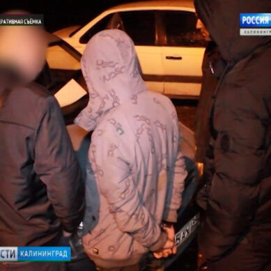 67 лет строгого режима на пятерых: в Калининграде вынесен приговор наркоторговцам