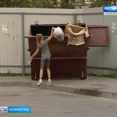 До конца 2019 года в Калининграде установят контейнеры для раздельного сбора мусора