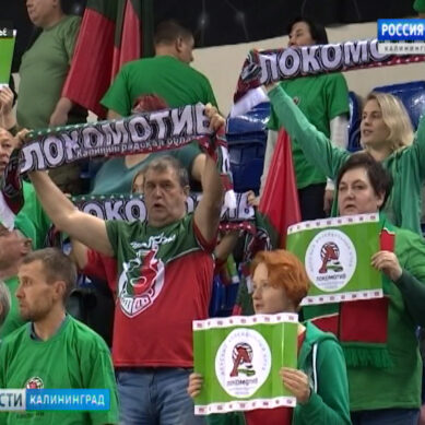 Калининградский  «Локомотив» победил челябинский «Динамо-Метар» со счётом 3:0