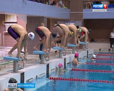Пловцы из Калининграда завоевали 12 медалей первенства СЗФО