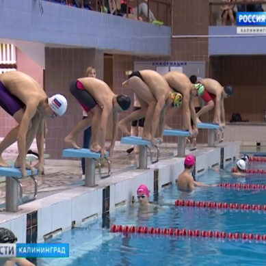 Пловцы из Калининграда завоевали 12 медалей первенства СЗФО