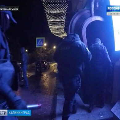 ФСБ, МВД и Росгвардия провели рейд по ночным клубам Калининграда