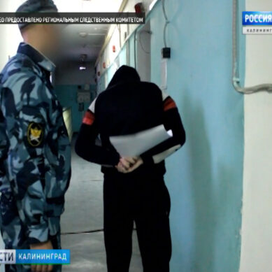В Калининграде следствие предъявило обвинение сторонникам террористической организации