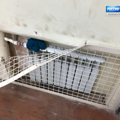 В Калининграде задержанный насмерть обварился кипятком в отделе полиции