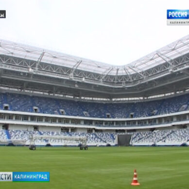 Медведев подписал распоряжение о передаче стадиона «Калининград» на баланс областного правительства
