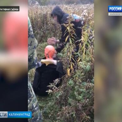 В Калининграде установили личности подозреваемых в убийстве мужчины на ул. Суздальской