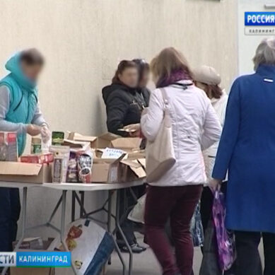 В Калининграде будут изымать и отправлять на спецсклад незаконный товар уличных торговцев