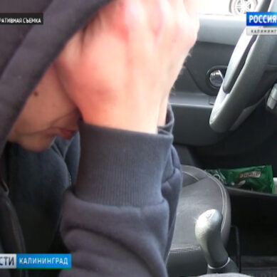 В Калининграде полицейские задержали закладчика наркотиков, который сдал своего поставщика