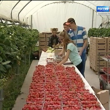 В Калининградскую область будут привлекать молодых специалистов для работы на селе