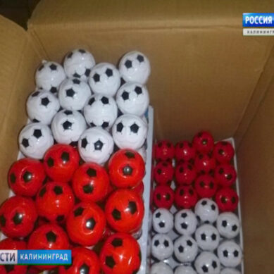 В Калининградской области таможенники предотвратили ввоз контрафактных китайских игрушек