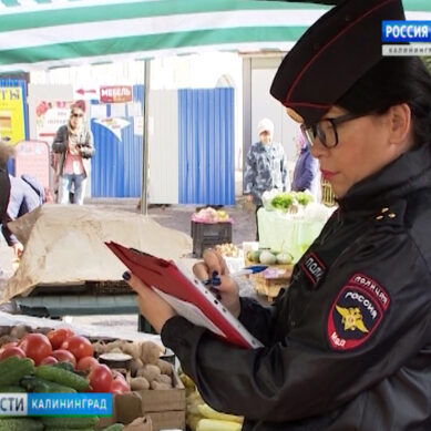 В Калининграде прошёл очередной рейд по пресечению несанкционированной торговли