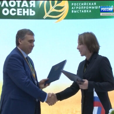 В Калининград будут поставлять сельхозпродукцию из Крыма