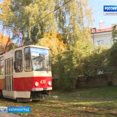 Власти Калининграда обдумывают возможность покупки новых трамваев в 2021 году