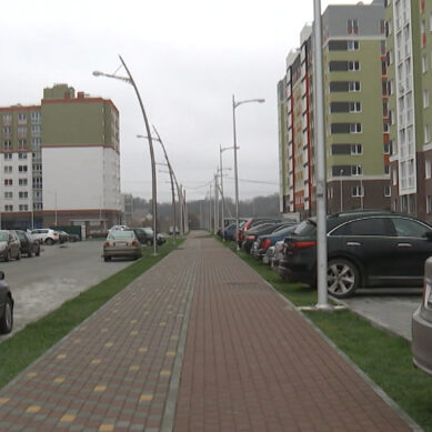 В Калининграде могут возобновить работу прачечные и риелторские компании