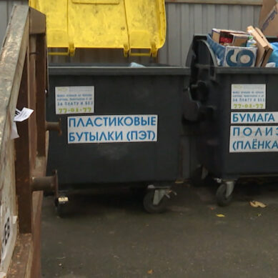 В Калининграде появятся шкафы для раздельного сбора мусора