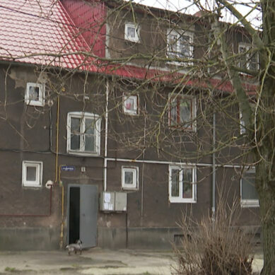 Жители домов на Немировича-Данченко просят опилить все старые тополя