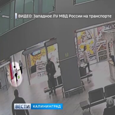 За кражу телефона в калининградском аэропорту задержана сотрудница кафе