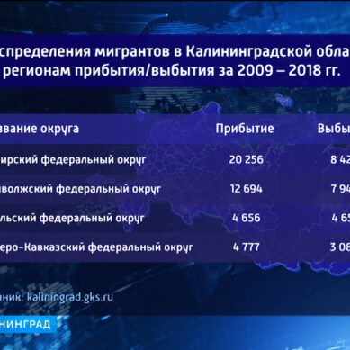 В Калининградской области опубликовали данные по внутренней миграции за последние 10 лет