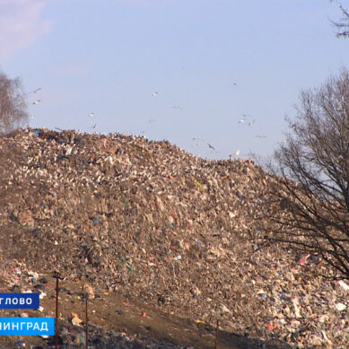 Полигон твёрдых коммунальных отходов в Круглово будет работать до 2022 года